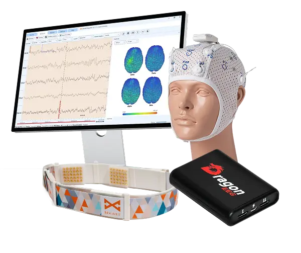 EEG software for clinical research